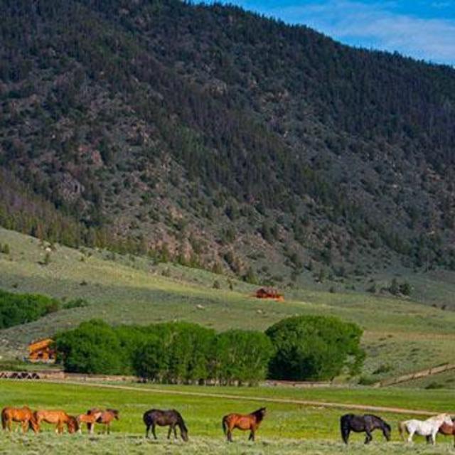 Our Future Ranch