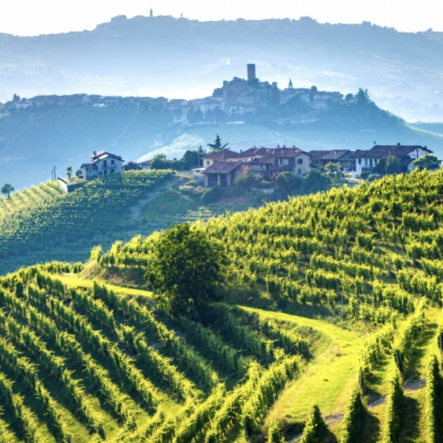 Wine Tour in Tuscany