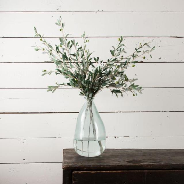Olive Stem