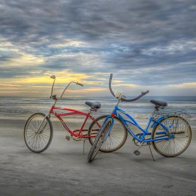 Bike Rentals