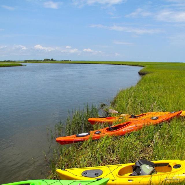 Kayak Tours