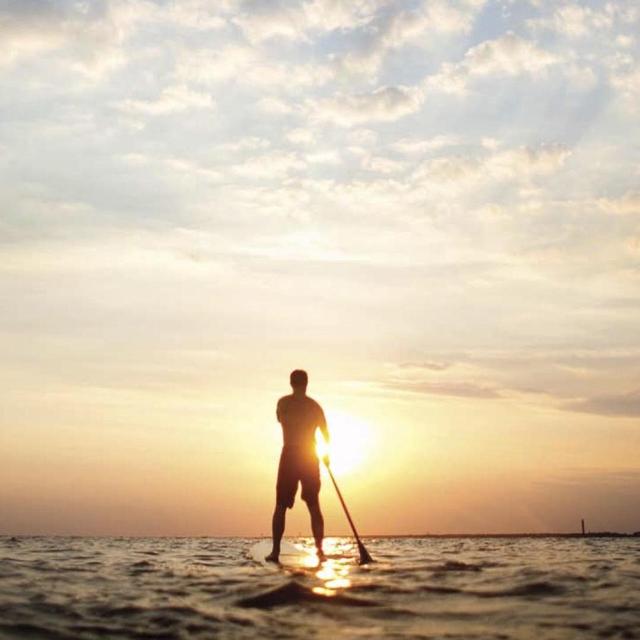 Paddle Boarding tours