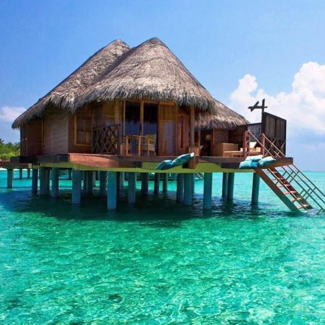 HONEYMOON