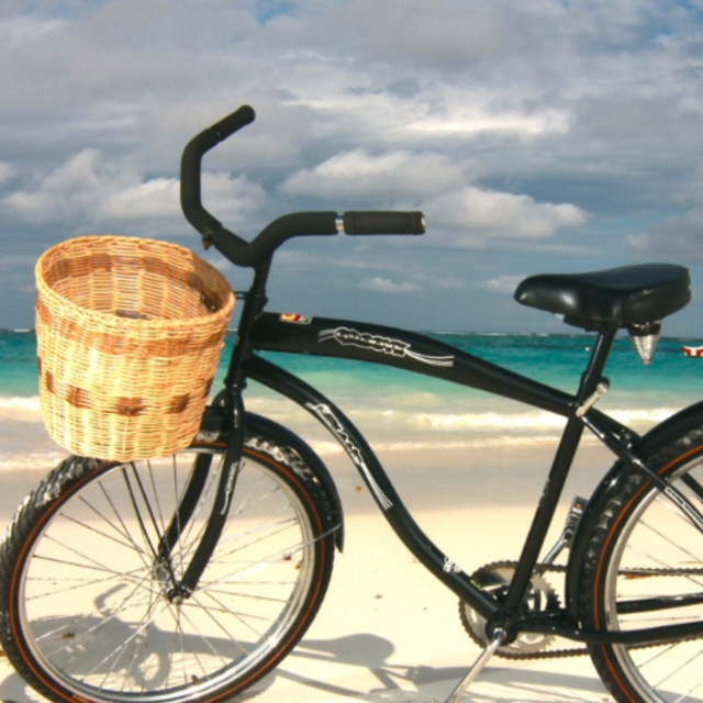 Bike rentals for the day