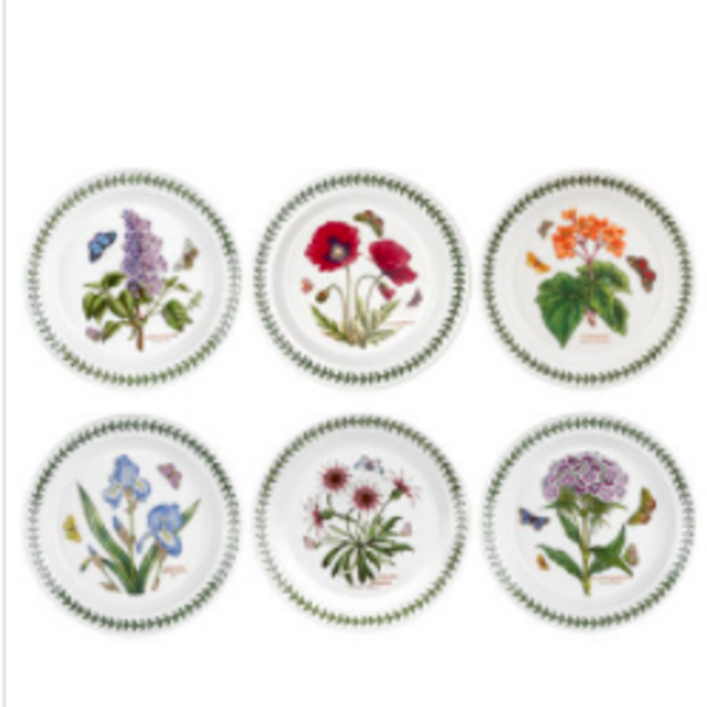 Botanic Garden 8.5 Inch Salad Plate Set of 6 (Assorted Motifs)