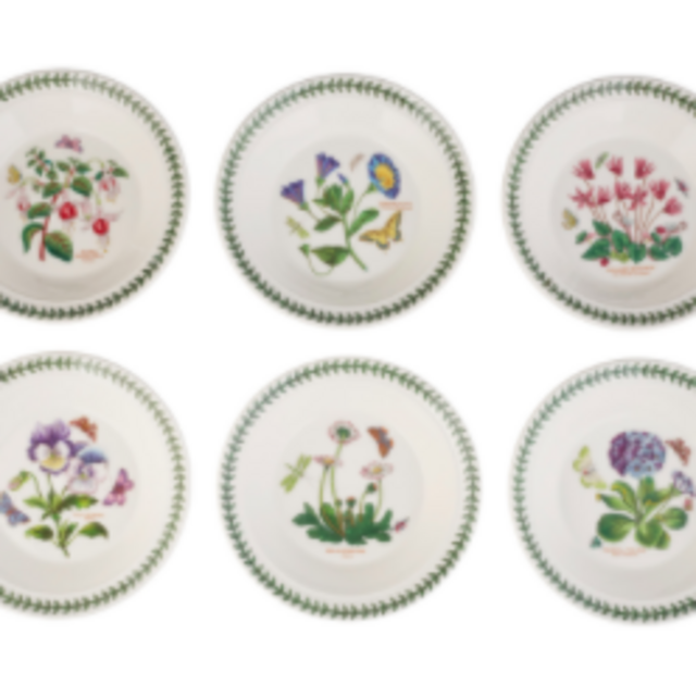 Botanic Garden 8.5 Inch Soup Plate/Bowl Set of 6 (Assorted Motifs)