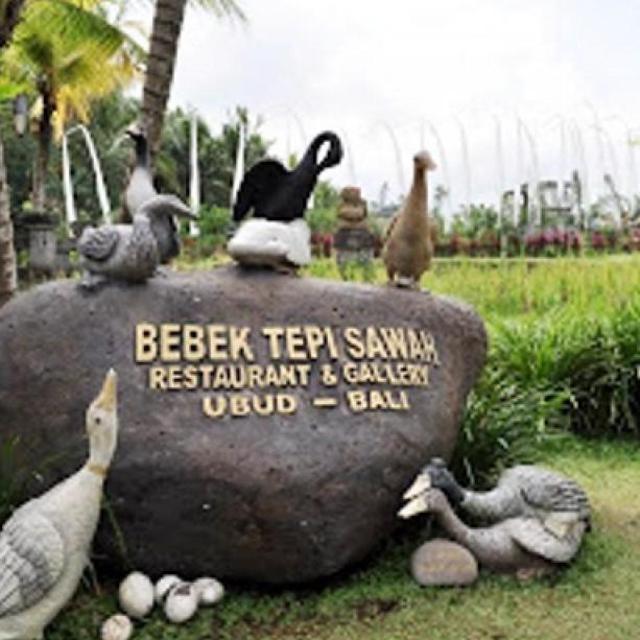 Dinner at Bebek Tepi Sawah Ubud