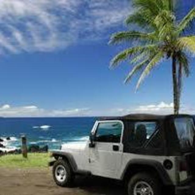 Car Rental