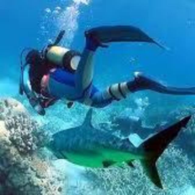 Scuba Diving