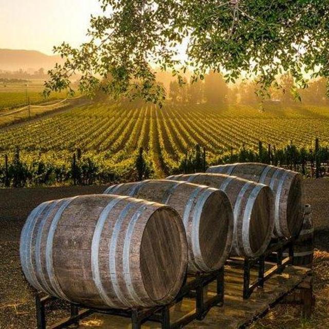 Date night: Fredericksburg wine tour