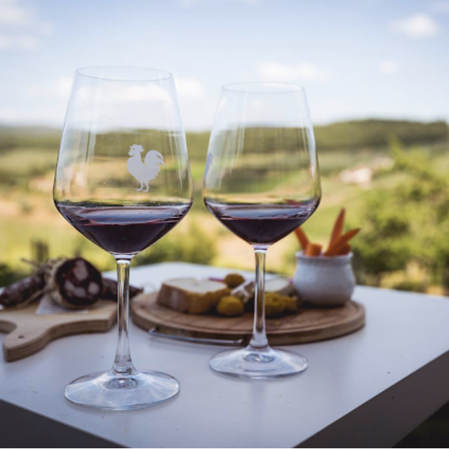 Wine Tasting Tour in Tuscany