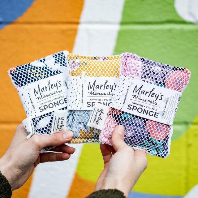 Washable SPONGE: Spring 3-packs