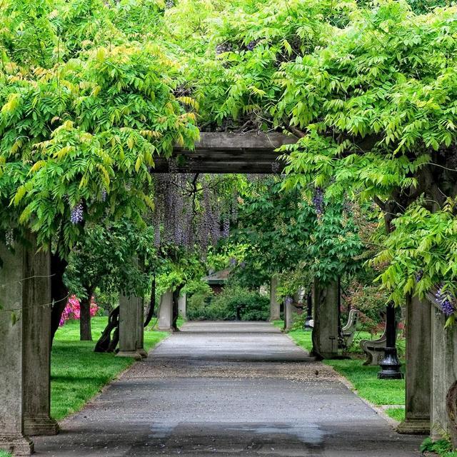 Brooklyn Botanic Garden - 12 Month Dual Membership