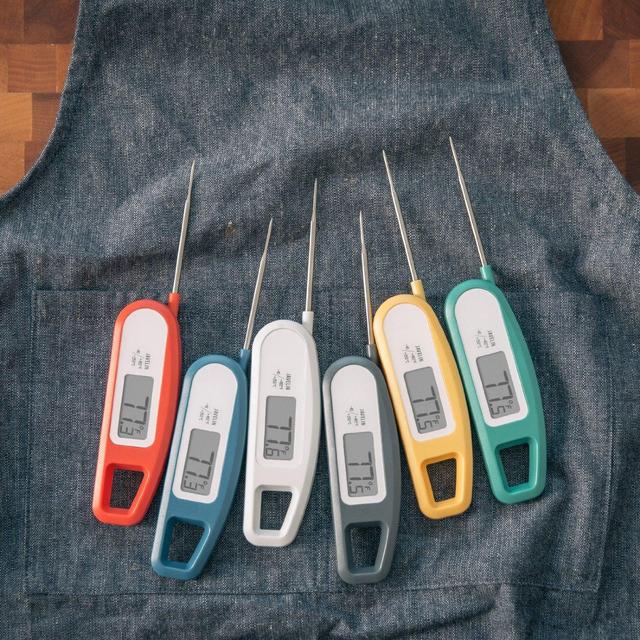 Lavatools Javelin (Mint) Meat Thermometer