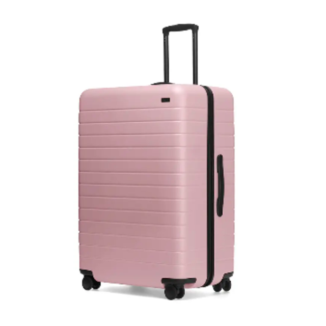 Away Luggage - The Large in Blush (Shanna)