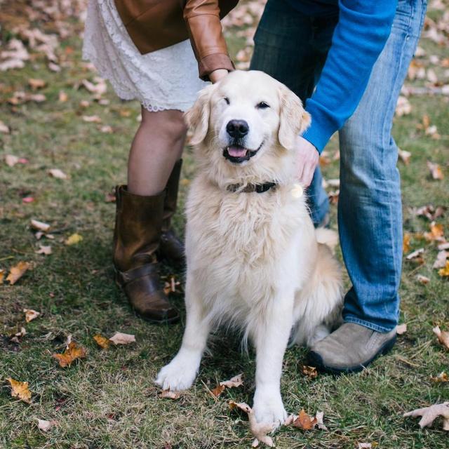 Toby’s Dog Sitter for our Honeymoon