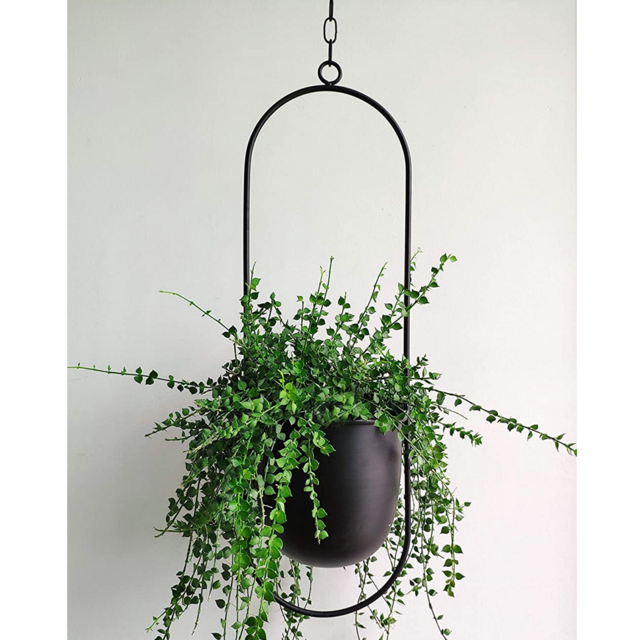 Plant Hanger - Oval