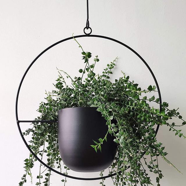 Plant Hanger - Circle
