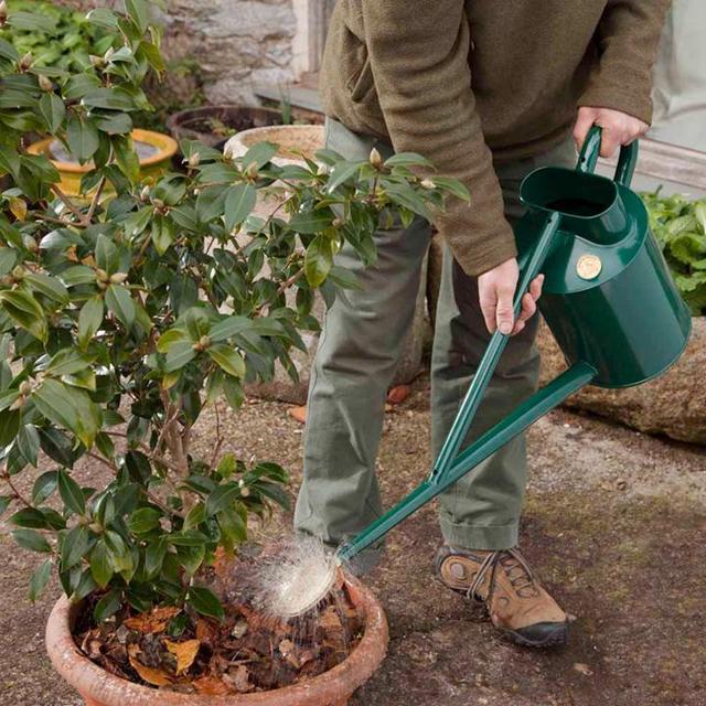 Professional Range: Haws Classic Long-Reach Watering Can 1 gallon green