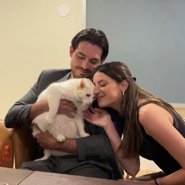 Cat Adoption, Litter Box, Food, and Toys!