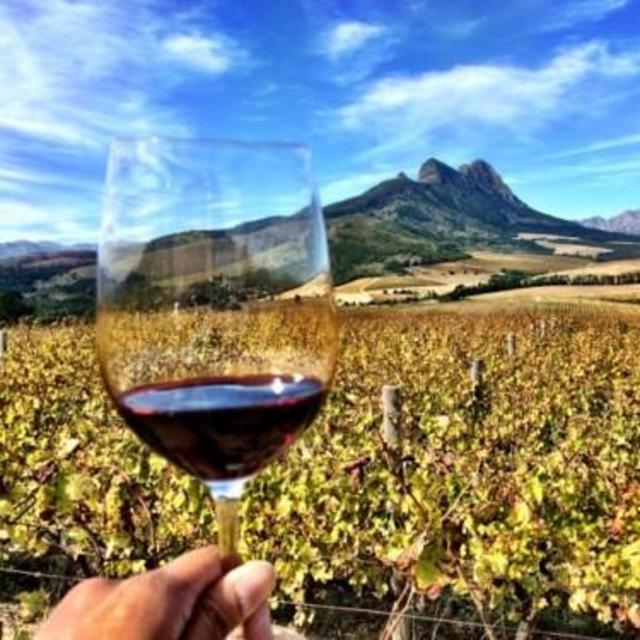 Private Wine Tour in Stellenbosch