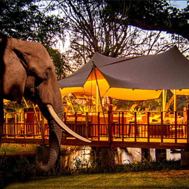 Dinner at Elephant Cafe in Zambia