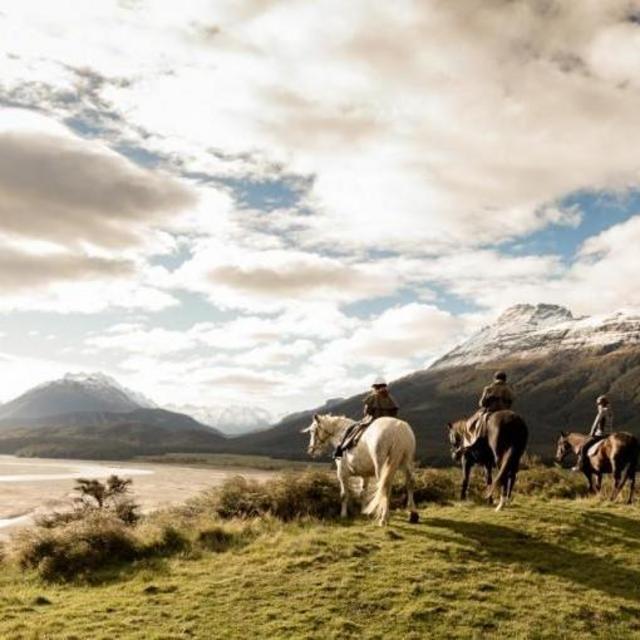 (VENMO) New Zealand Horseback Excursion