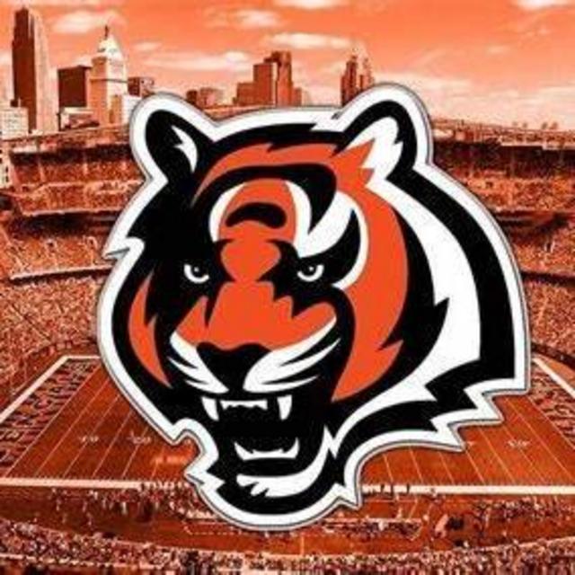 Bears & Lions & Bengals Football Tickets!