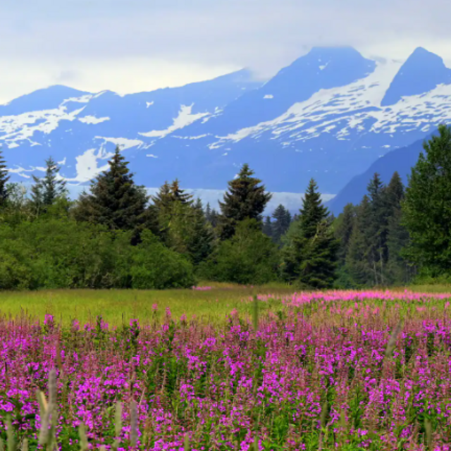 Tour of Juneau, Alaska