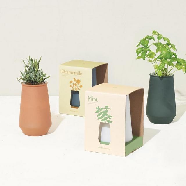 Modern Sprout Lavender Tumbler