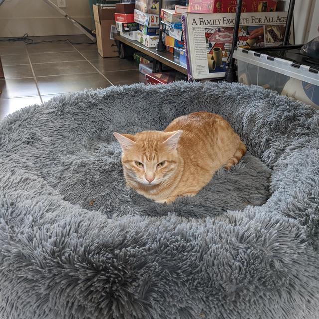 Quilt