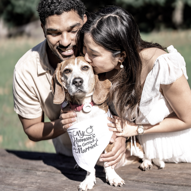 Fur Baby Fund