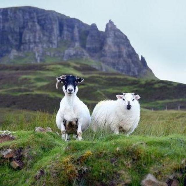Cash Fund for Judy and Lee's Honeymoon to Scotland!