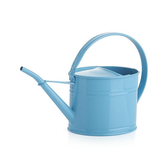 Watering Can Aqua