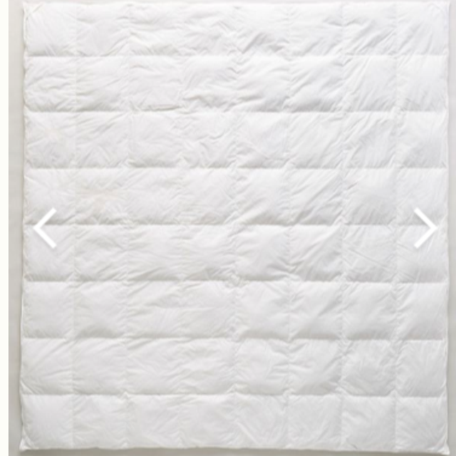 Vienna Down Duvet Insert