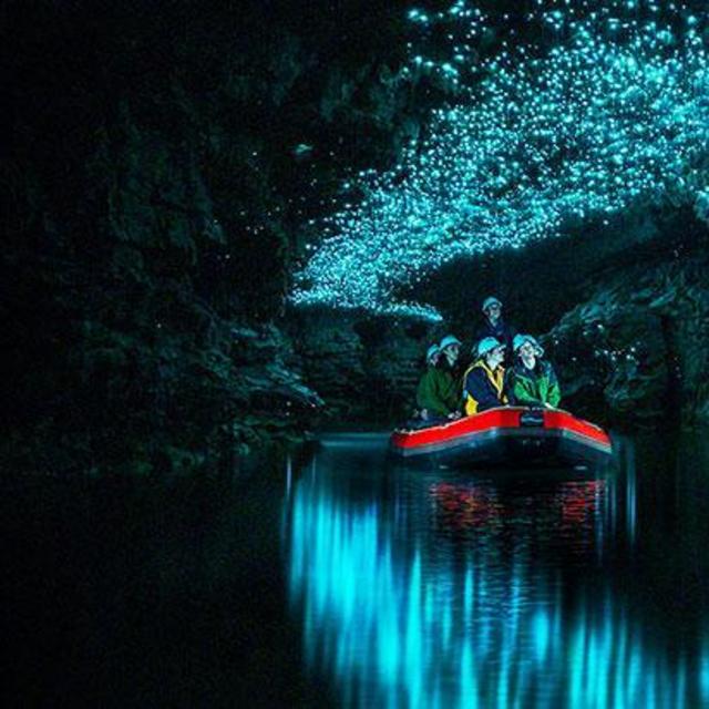Glow Worm Excursion