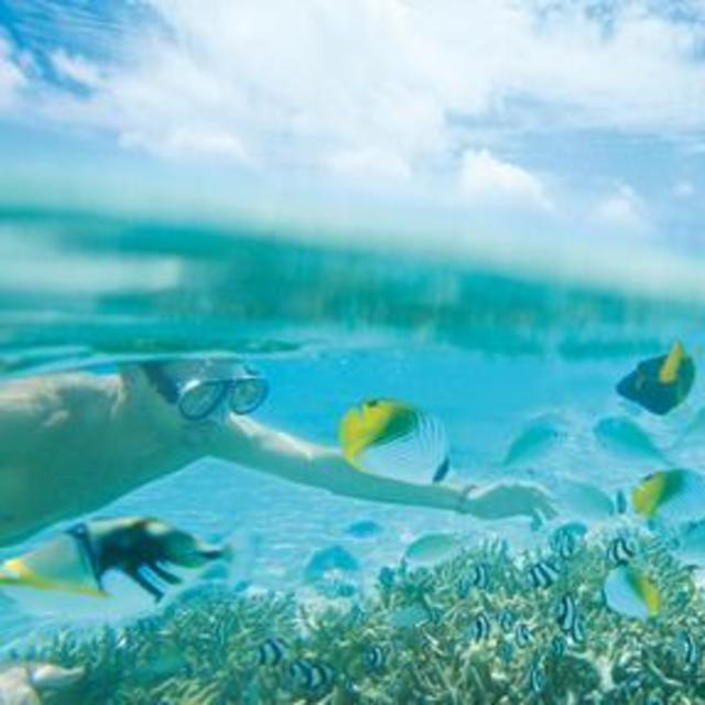 Snorkling @ Maldives Veli Resort