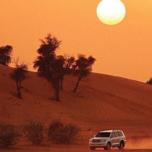 Desert Safari Dubai Tour