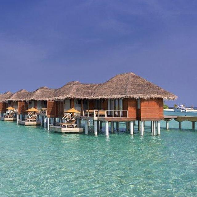 Maldives Hotel Contribution