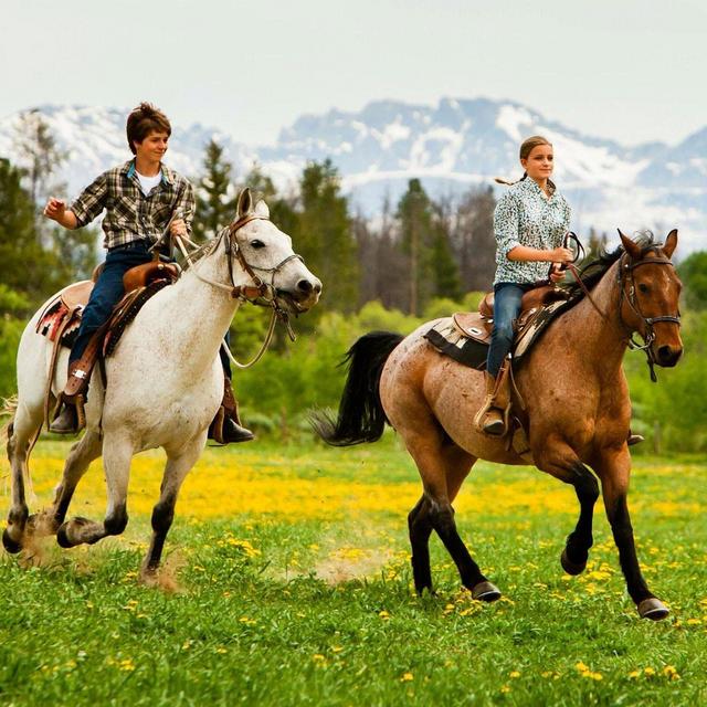 Gouchos and Estancias - Dude Ranch Tour in Argentina