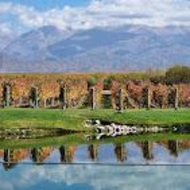 Dinner in Mendonza at Siete Fuegos - Francis Mallman