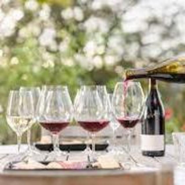 Wine Tastings in Mendoza