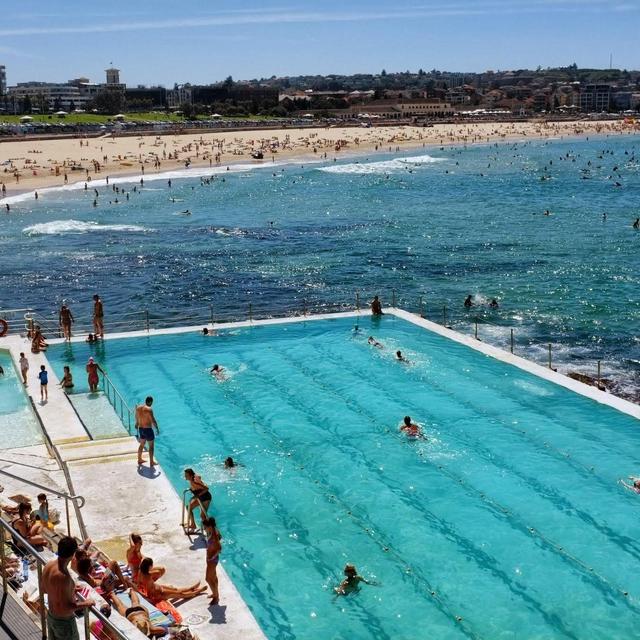 Pool day at Bondi Icebergs Club