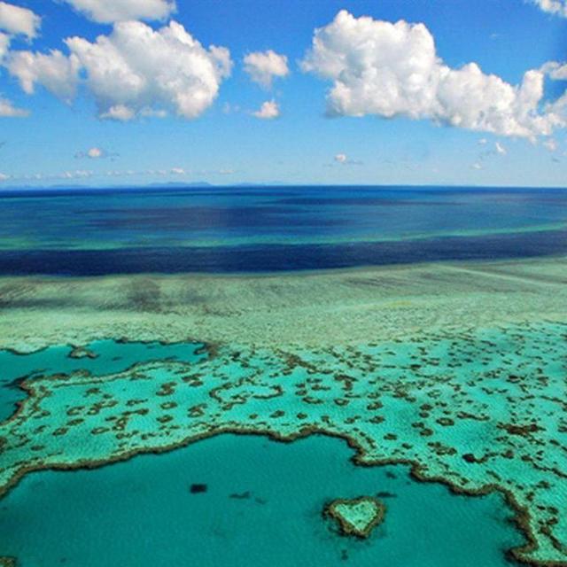 Great Barrier Reef Panorama Tour