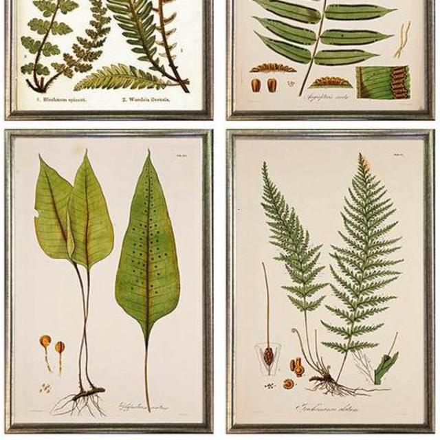 Museum Facsimiles Picture Framing