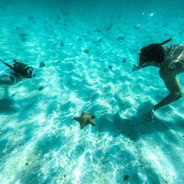 Snorkeling Adventure in Costa Rica