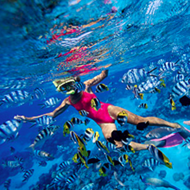 6 Hour Snorkling and Reef Safari