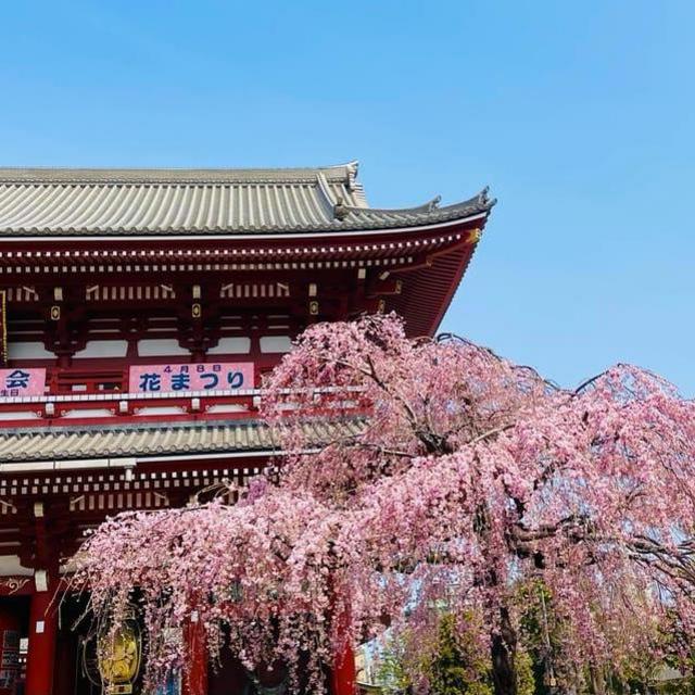 Senso-ji Temple Private Tour