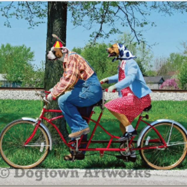 A Bicycle Built for 2!