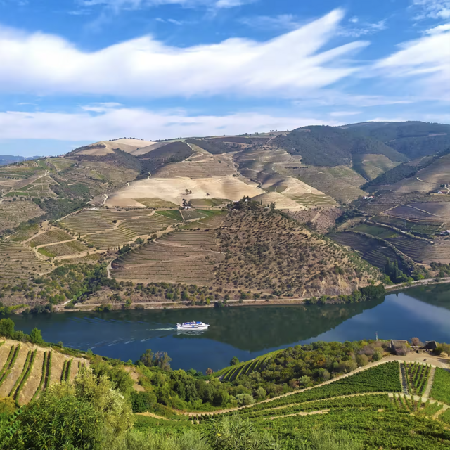 Wine & Boat Tour in Duoro Valley